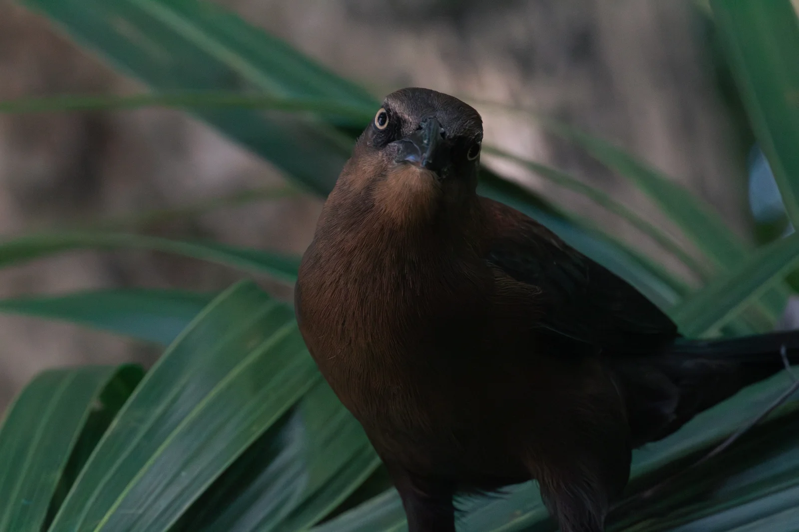 nature photography by JRMGraphy